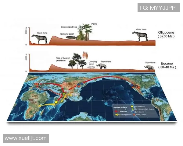武汉极限运动队团队协作的独特模式与其他队伍的深度比较分析 武汉极限运动队团队协作的独特模式与其他队伍的深度比较分析