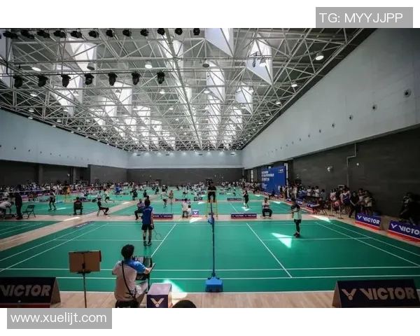 西安羽毛球队实力分析与表现评估的全面数据解读