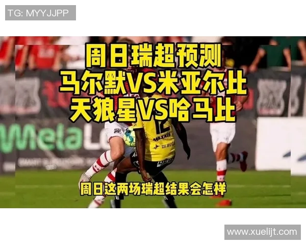 哈马比与天狼星对决分析及胜负推荐策略分享