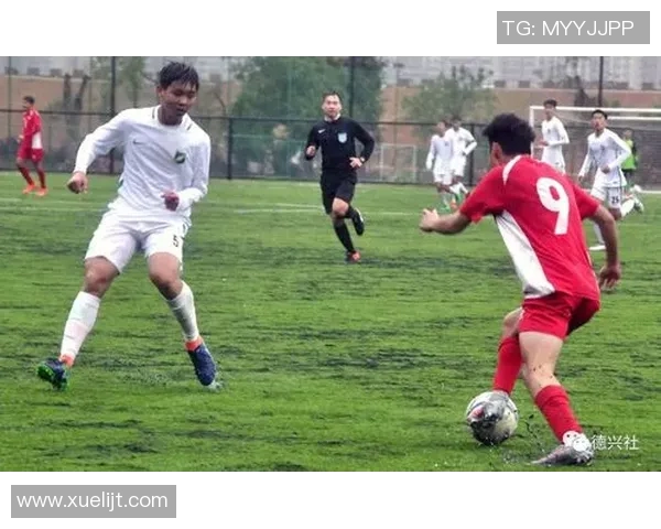 青岛中能迎战南宁球队全力争胜期待精彩对决