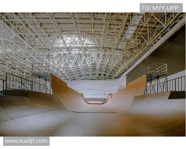 南京极限运动队心理素质探析与挑战应对能力研究